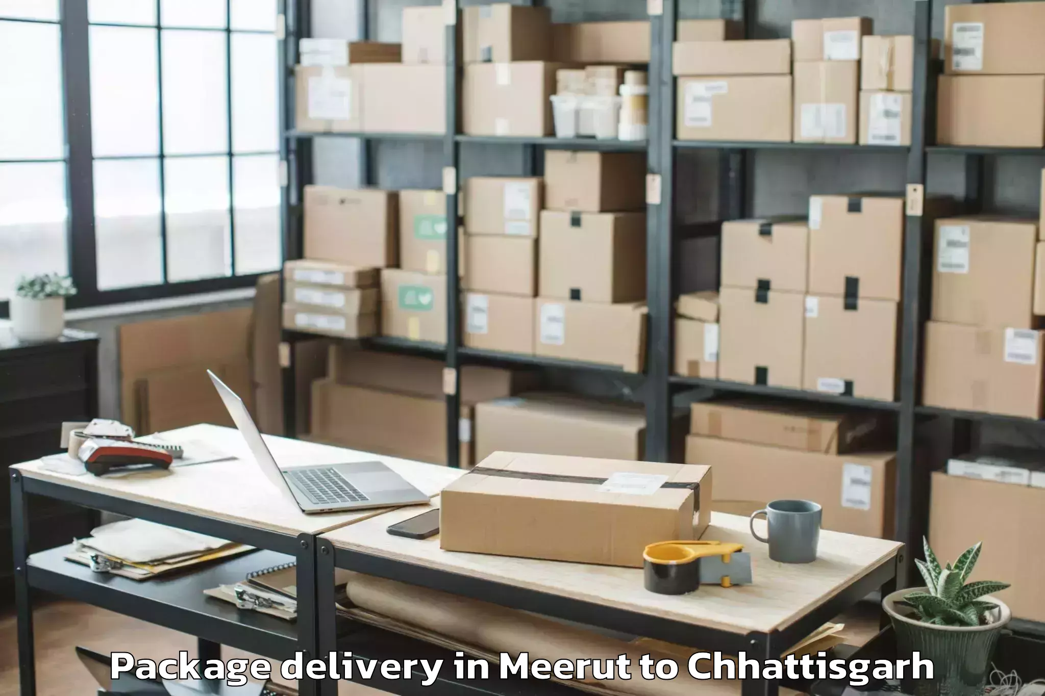 Hassle-Free Meerut to Chhattisgarh Kamdhenu Vishwavi Package Delivery